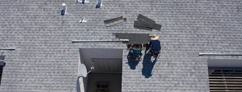 Commercial roofers performing roof maintenance.