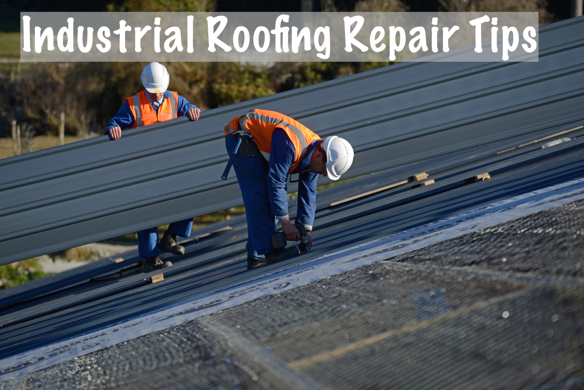 Roof Repair Brisbane
